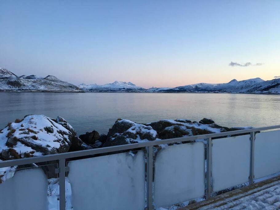 Hytte Ved Sjoen Napp Bagian luar foto